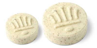 Revital Shampoo mit Ingwer, Magnolie und Pracaxiöl