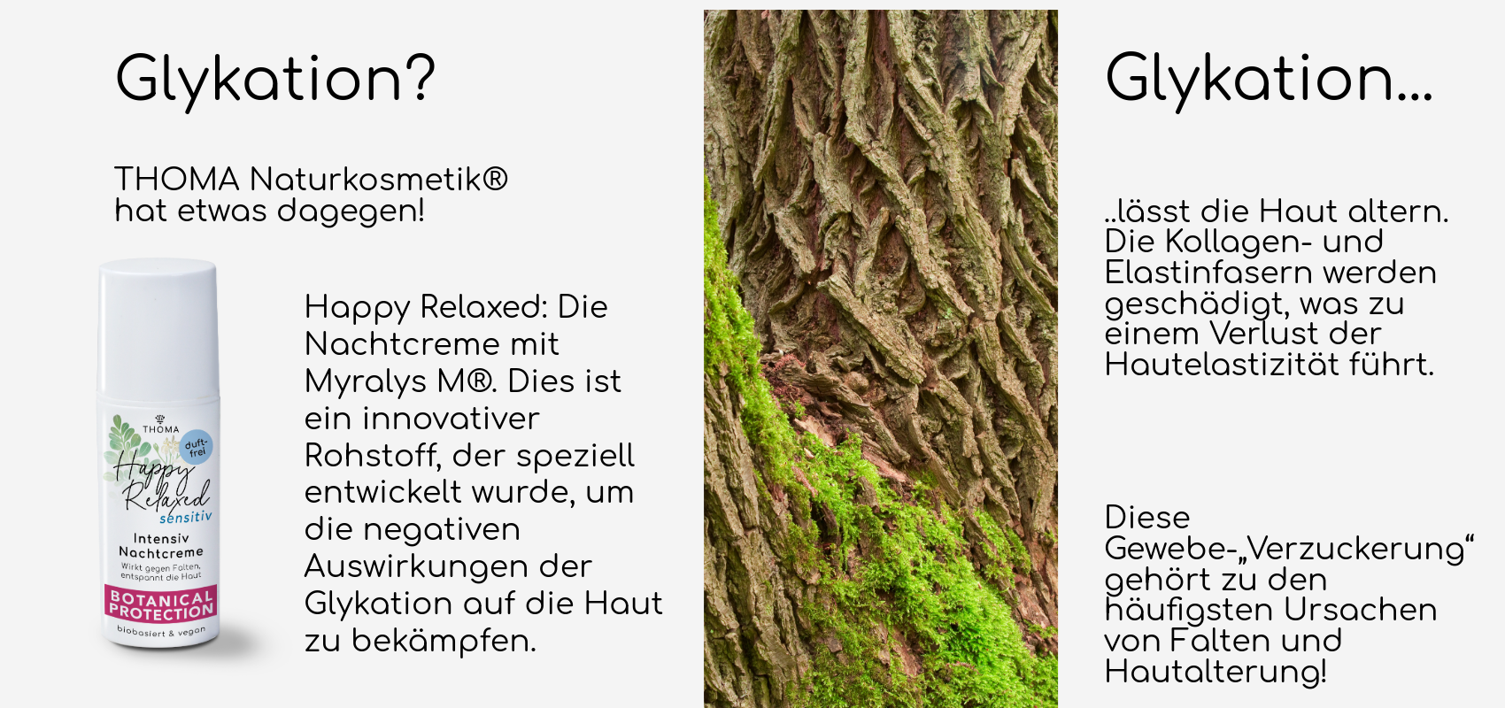 Werbegrafik zur Glykation und Hautalterung mit einer Nahaufnahme von Baumrinde, die den Verlust der Hautelastizität symbolisiert. Präsentation der „Happy Relaxed“ Nachtcreme von THOMA Naturkosmetik® mit Myralys M® zur Bekämpfung der Glykation.