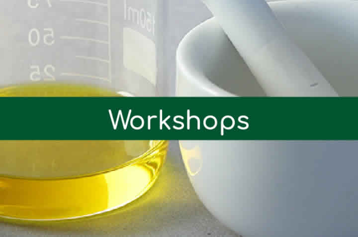 Workshops
