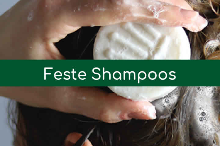 feste Shampoos